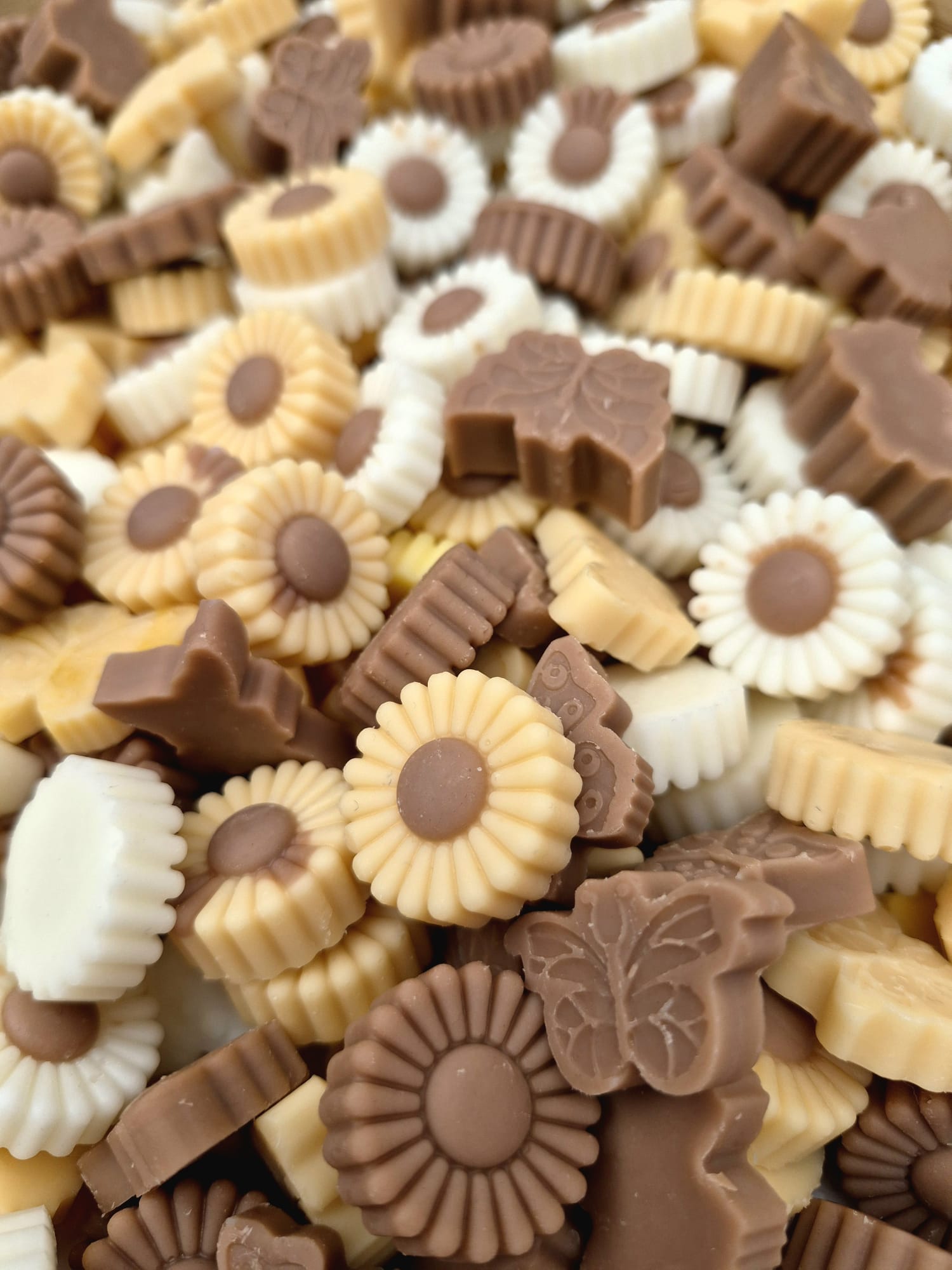 Wax Melts Ámbar y Sándalo