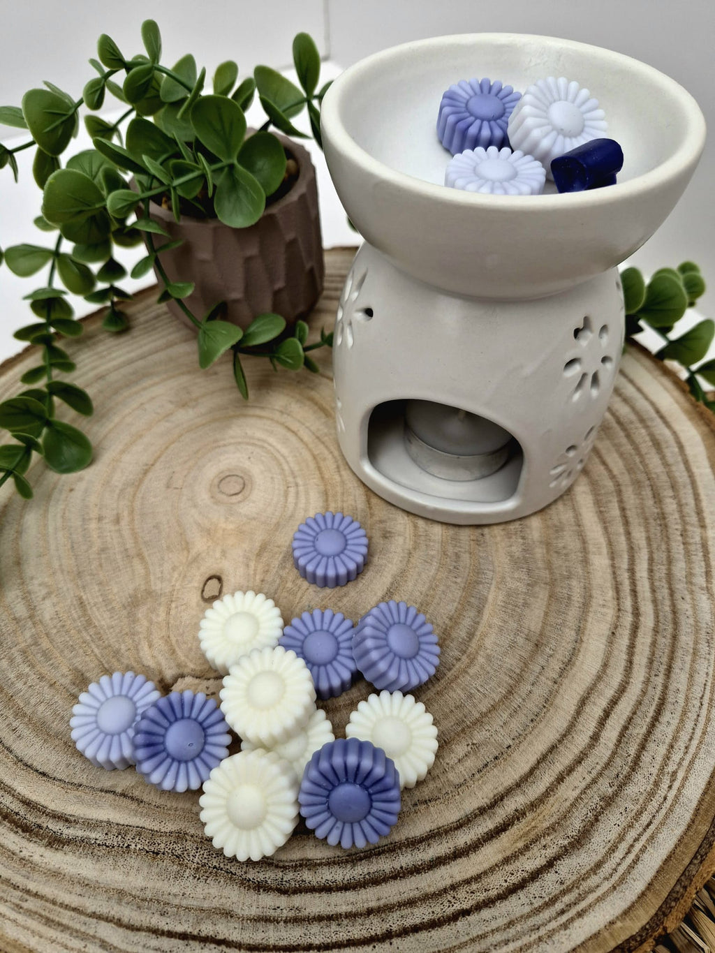 Wax Melts Aloe vera y Lavanda