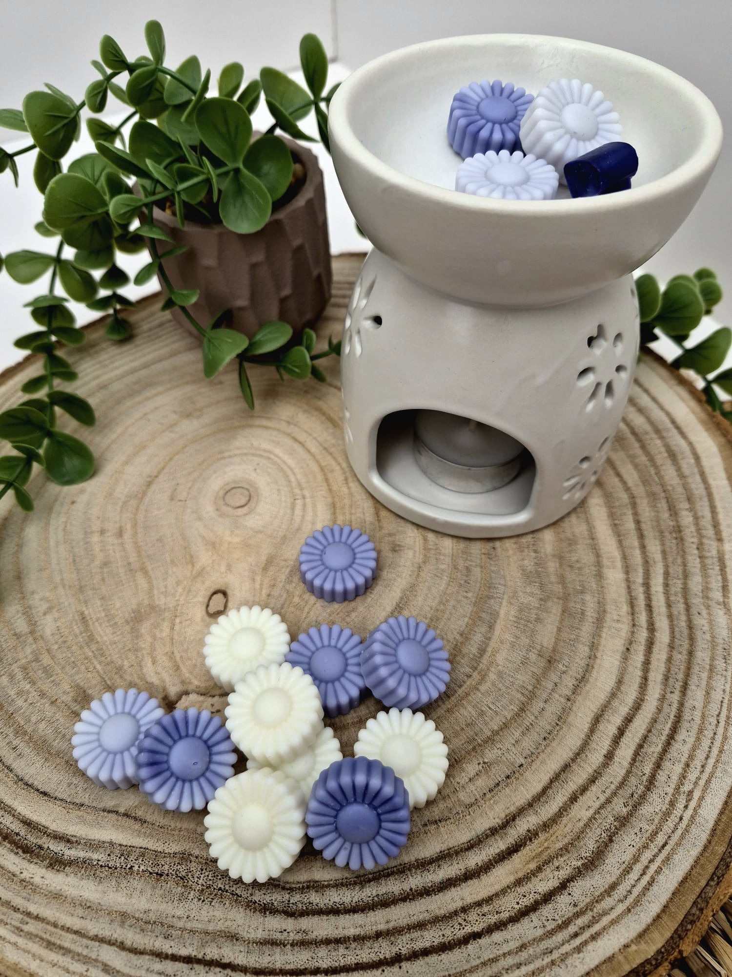 Wax Melts Aloe vera y Lavanda
