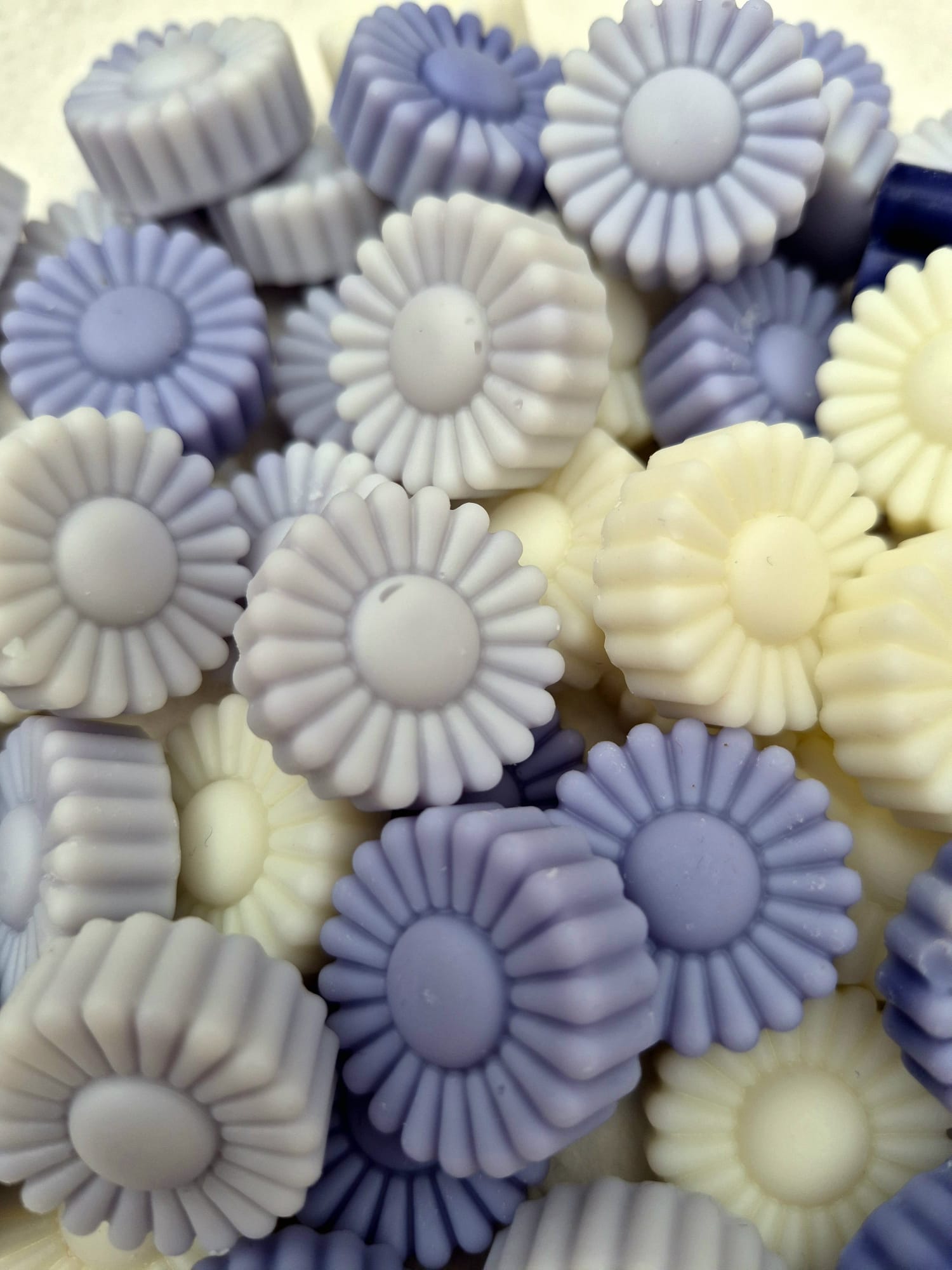 Wax Melts Aloe vera y Lavanda